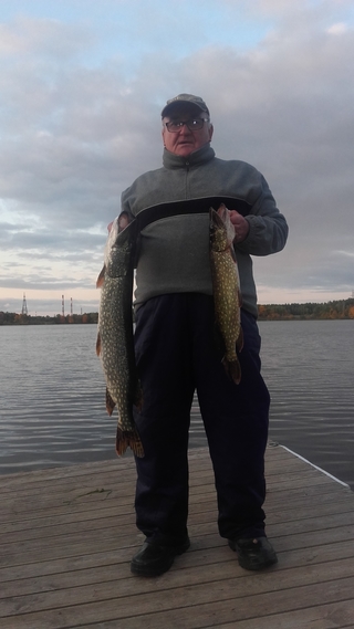 Northern Pike