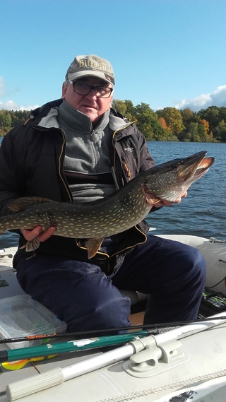 Northern Pike