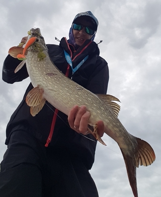 Northern Pike
