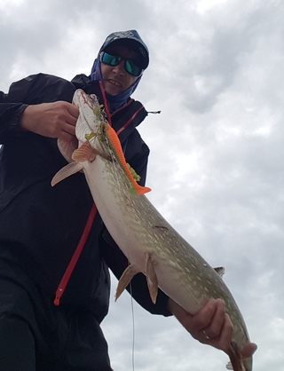 Northern Pike