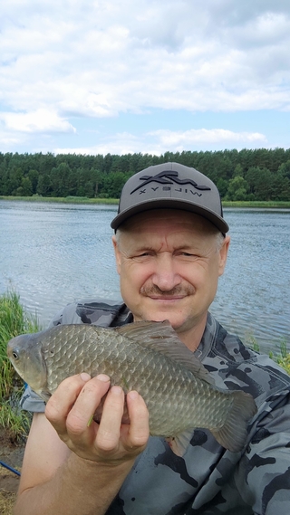 Crucian carp