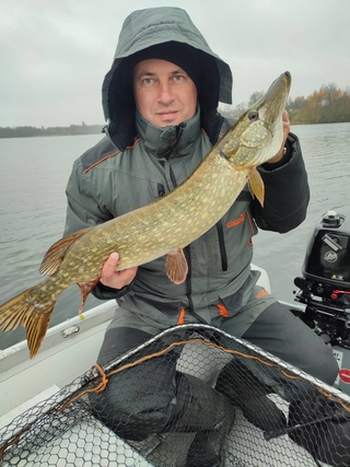 Northern Pike