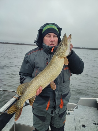 Northern Pike