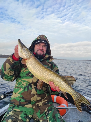 Northern Pike