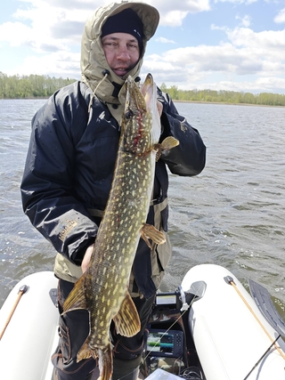 Northern Pike