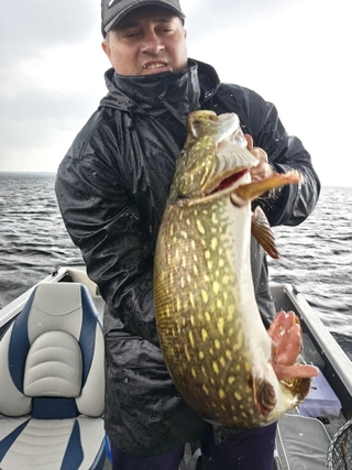 Northern Pike