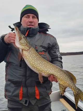 Northern Pike