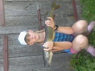 Northern Pike