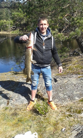 Northern Pike