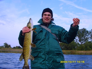 Northern Pike