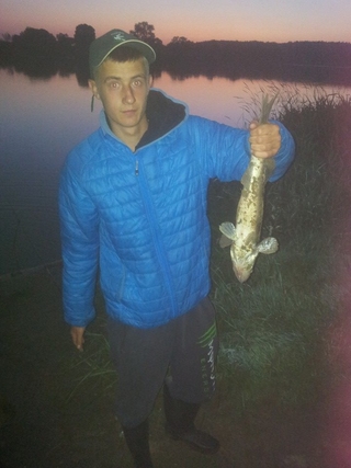 Pike perch