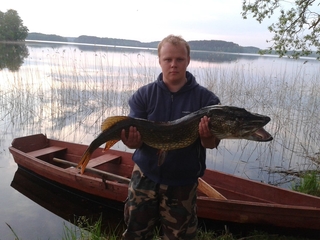 Northern Pike