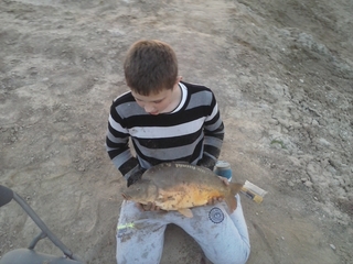 Carp
