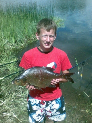 Carp bream