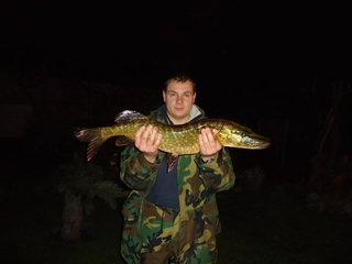 Northern Pike