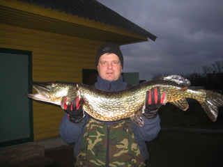 Northern Pike