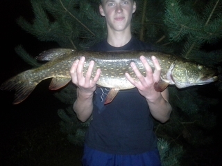 Northern Pike