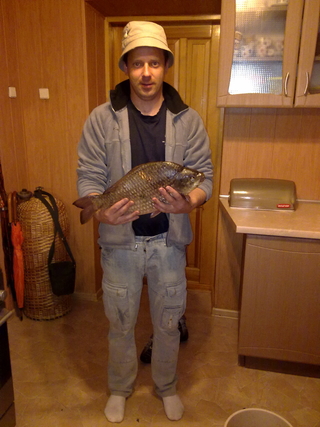 Crucian carp