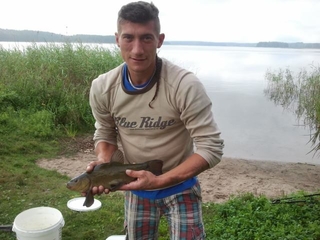 Tench