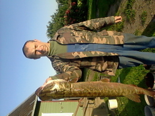 Northern Pike