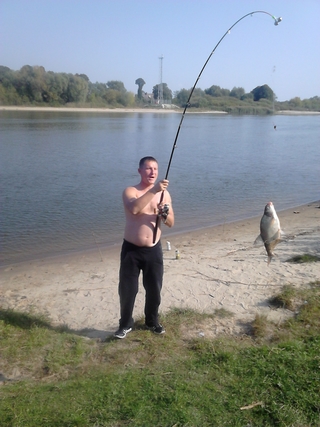 Carp bream