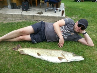 Northern Pike