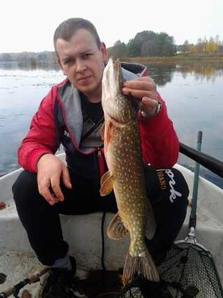 Northern Pike