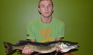 Northern Pike