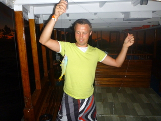 Common bluestripe snapper