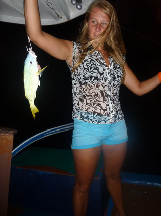 Common bluestripe snapper