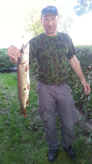 Northern Pike