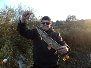 Northern Pike