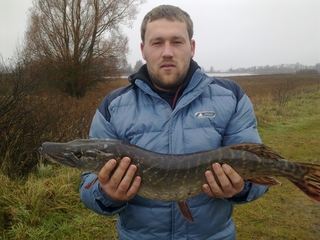 Northern Pike