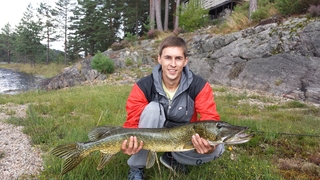 Northern Pike