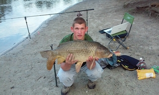 Carp