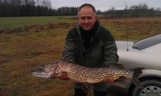 Northern Pike