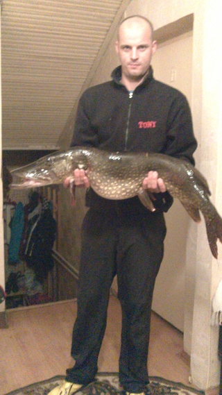 Northern Pike