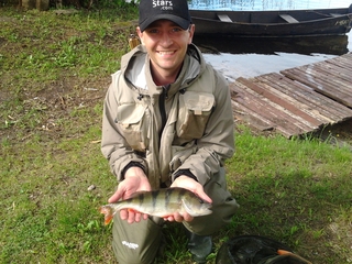 Eurasian perch