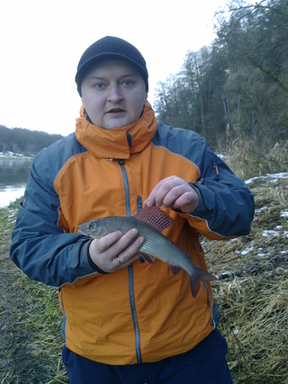 Grayling