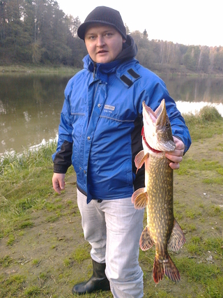 Northern Pike