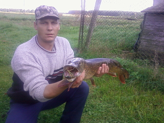 Northern Pike