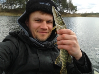 Northern Pike