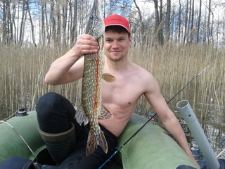 Northern Pike