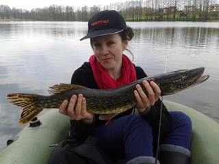Northern Pike