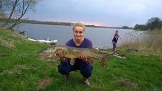 Northern Pike