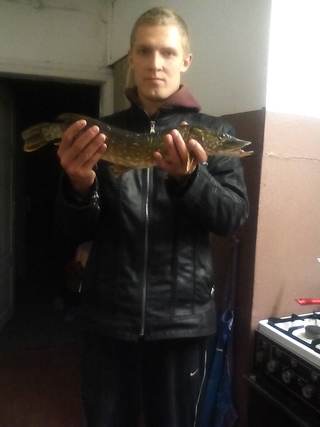 Northern Pike