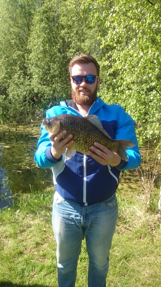 Crucian carp