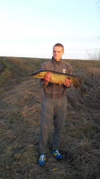 Northern Pike