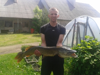 Northern Pike