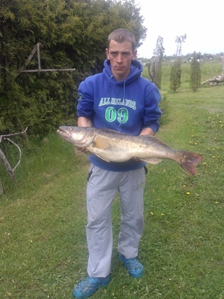 Pike perch